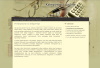 Księgowość on-line